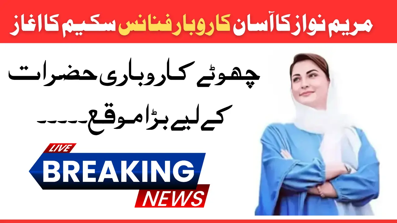 Asan Karobar Finance Scheme in Punjab: A Step-by-Step Guide