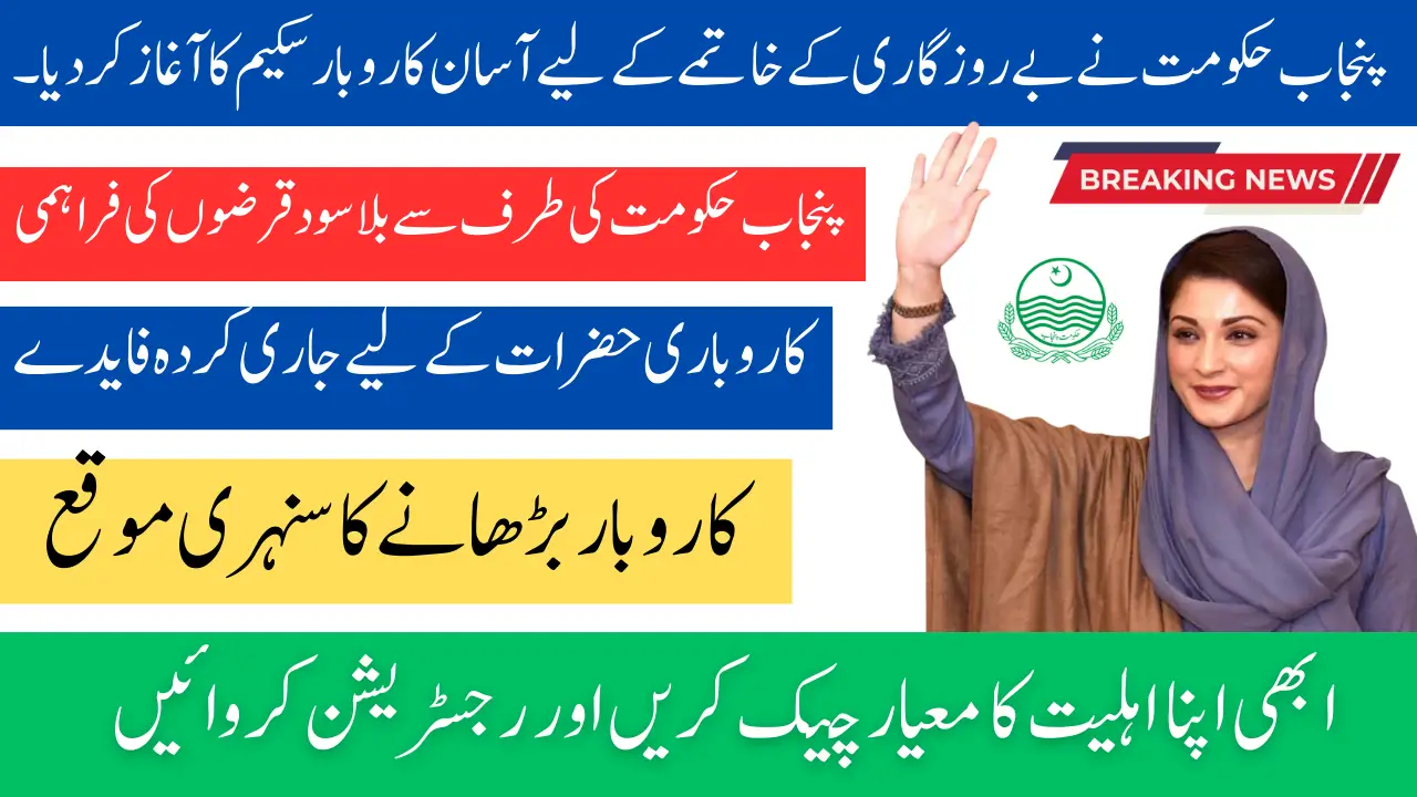 Punjab Government Launches Asan Karobar Scheme to End Unemployment
