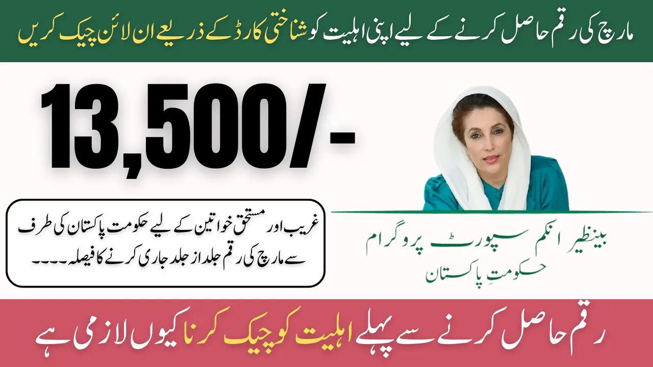 BISP 8171 March 2025 Payment Criteria Check Online By CNIC
