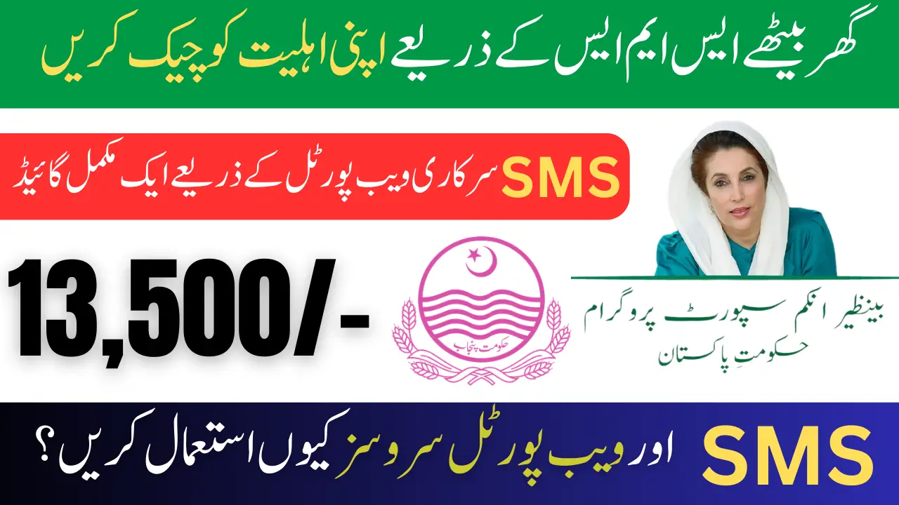 BISP 8171 Eligibility Check SMS Through Official Web Portal A Complete Guide