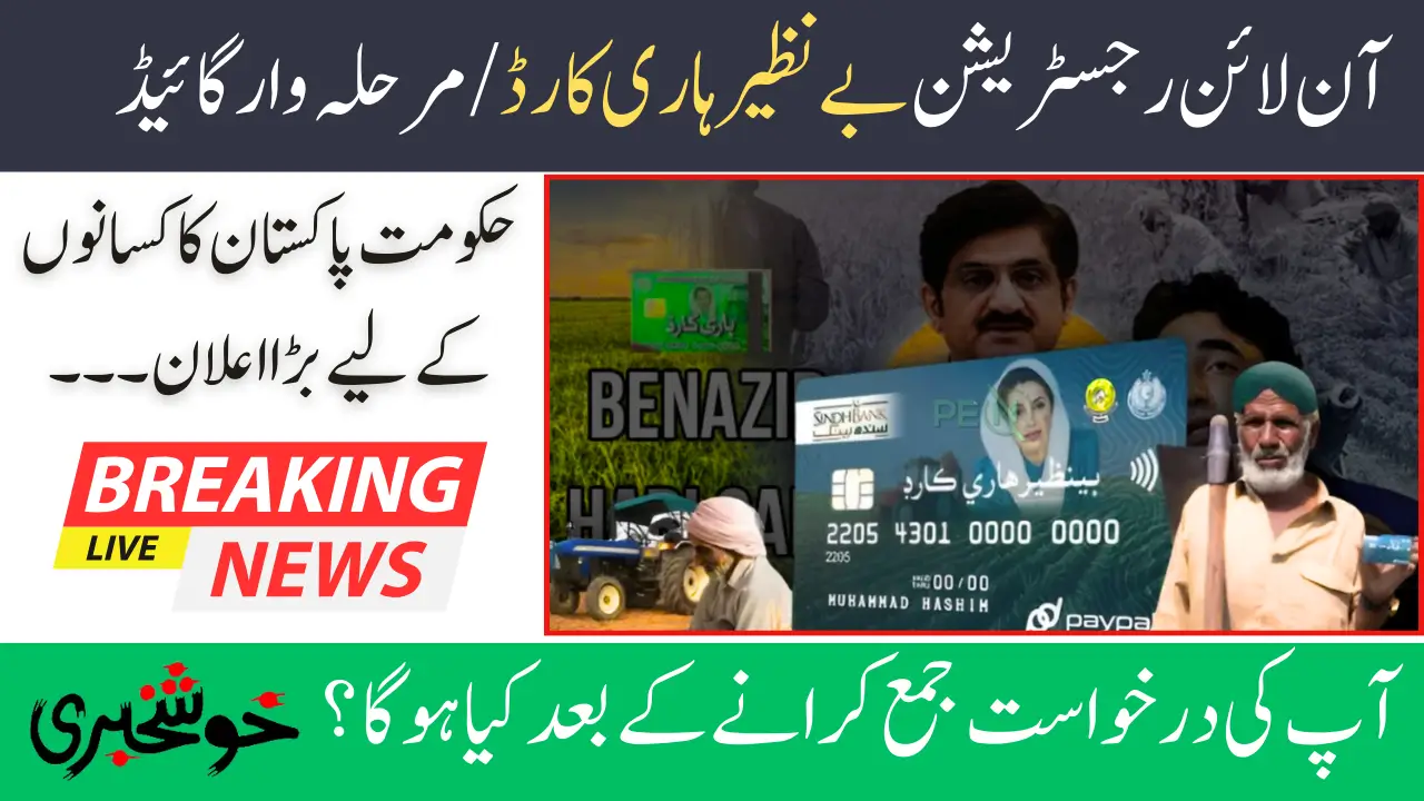 Online Registration Benazir Hari Card 2025 Step-by-Step Guide