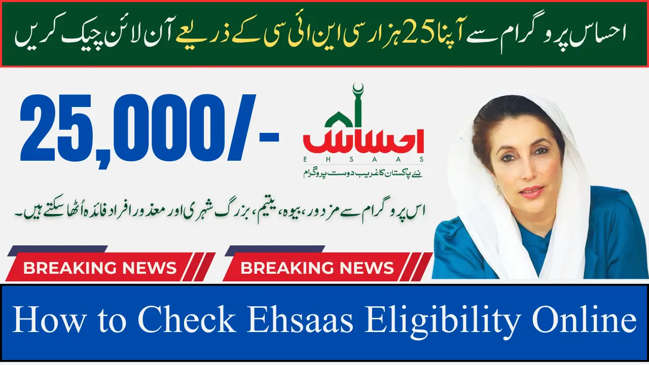 Ehsaas 8171 Program CNIC Check Online 2025 for 25000 Payment Step-by-Step Guide