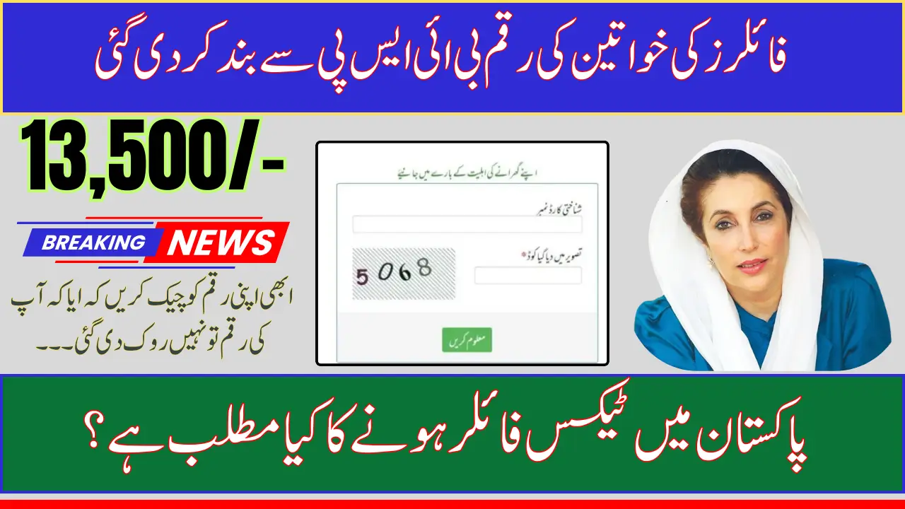 BISP 8171 Payments Stopped? How Becoming a Filer Can Affect BISP Payment