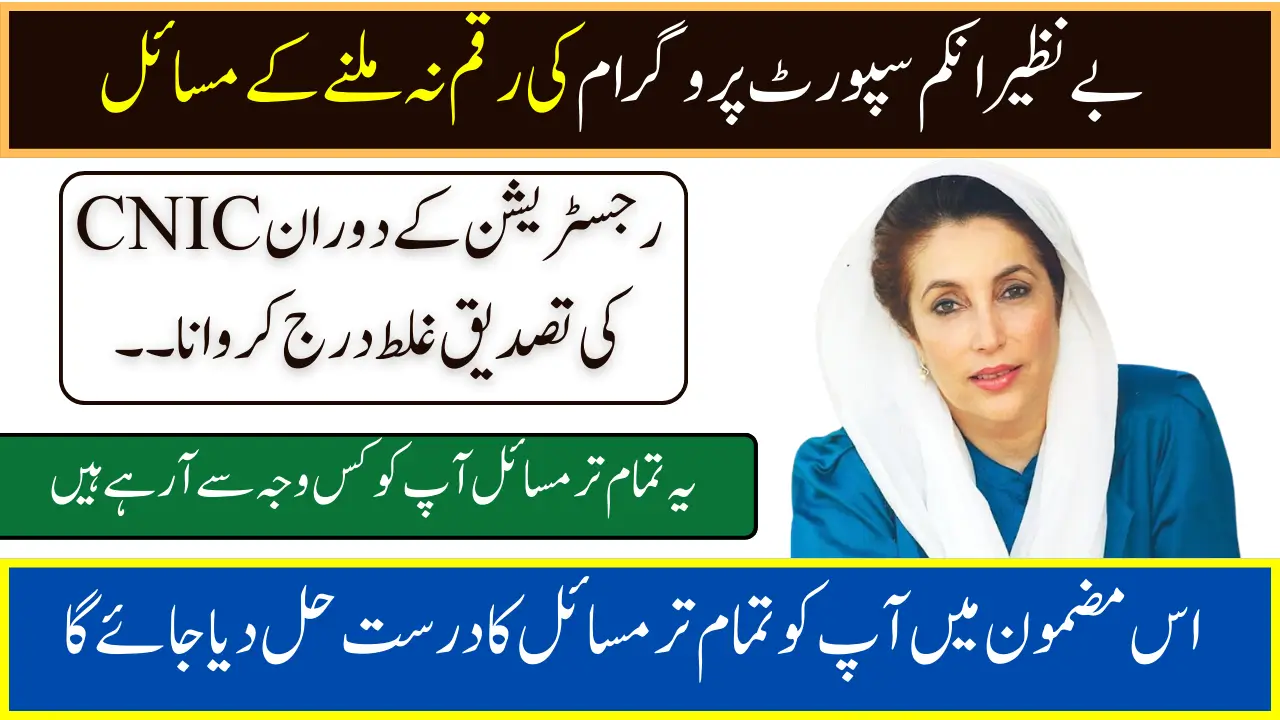 8171 BISP Payment Issues 2025 Complete Solution Guide Step by Step