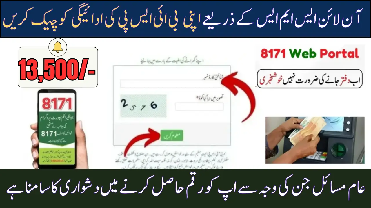 8171 BISP NADRA Profile April 2025 Latest Update & Check BISP Payment Online
