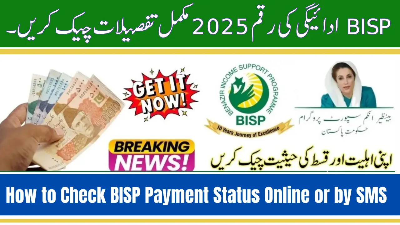 BISP Payment Amount 2025 Check Complete Details
