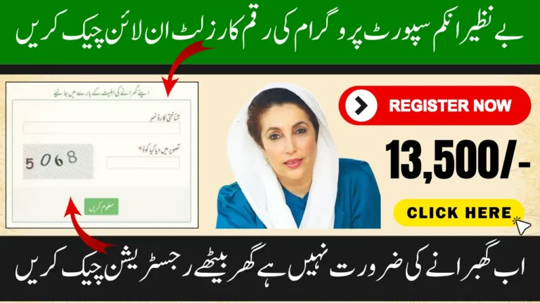 BISP 8171 Result Check Online by CNIC for June Payment 13,500