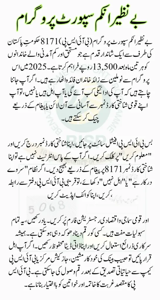 BISP 8171 Result Check Online by CNIC Complete Process Guide Step by Step (2025)