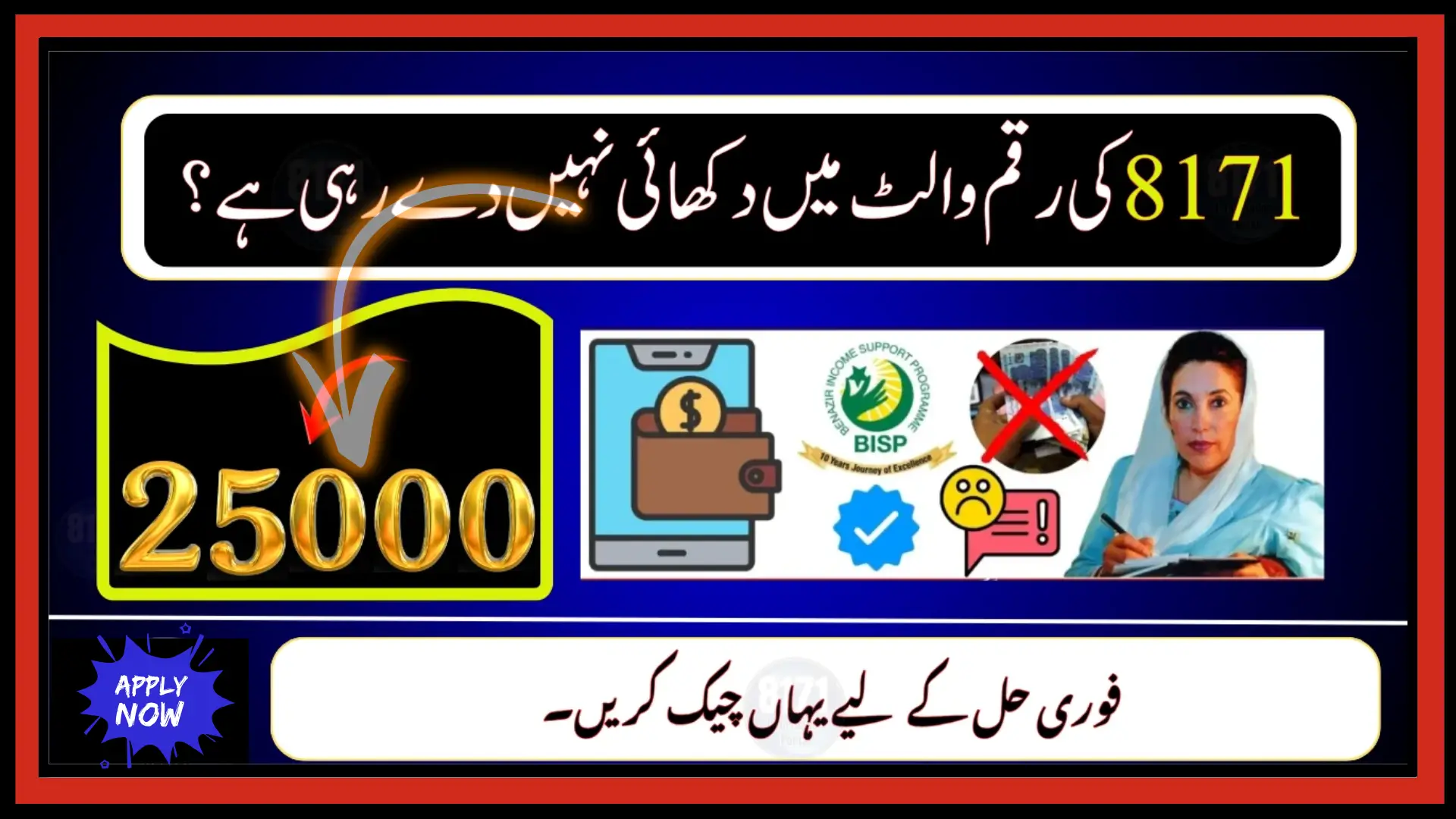 8171 Payment Not Showing in Digital Wallet 2025 Complete Fix and Step-by-Step Guide